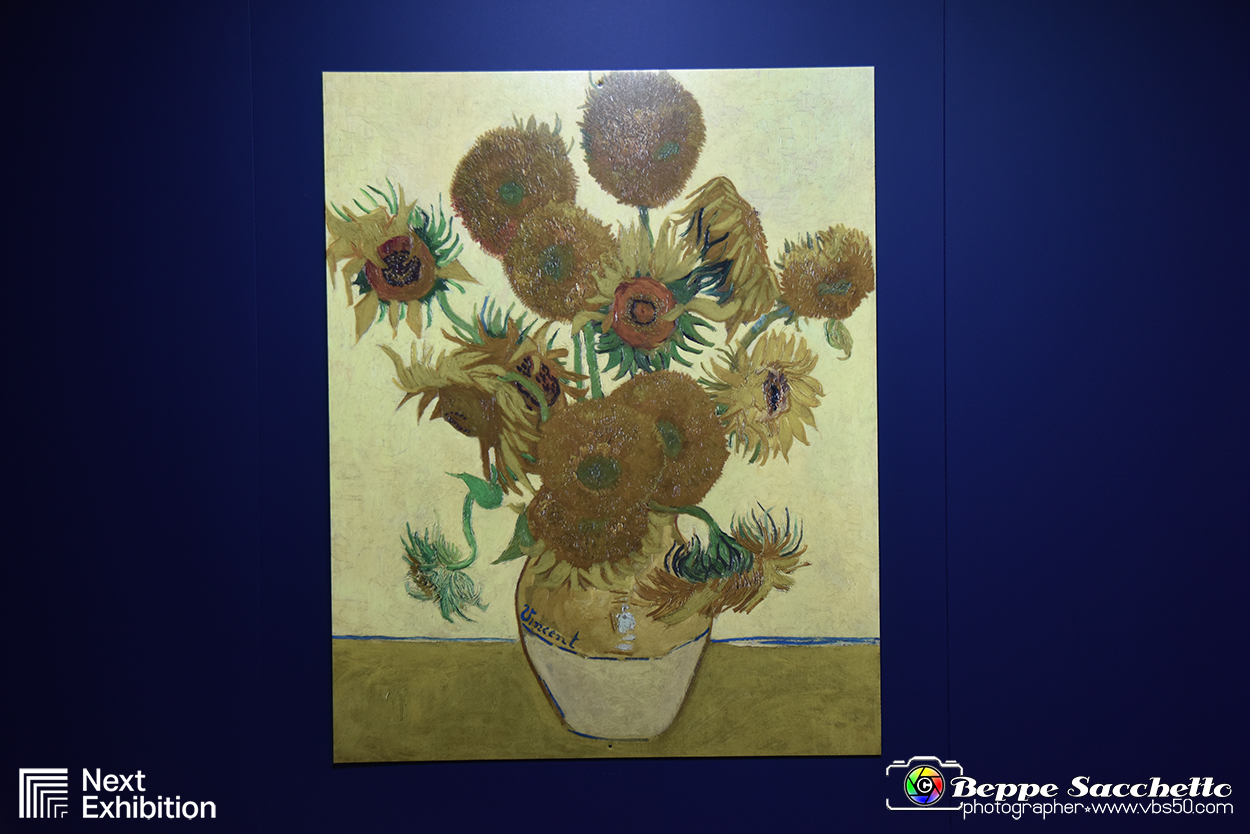 VBS_8123 - Van_Gogh_experience.jpg